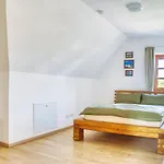 Luxus Apartment! Kueche, Balkon, Netflix, Parkplatz - 8 Personen Ilmmunster